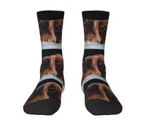 YOFIEN Ruby Cavalier King Charles Spaniel Puppy Dog,Men's Moisture Wicking Breathable Cusioned Crew Socks for women
