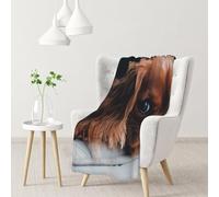 YOFIEN Ruby Cavalier King Charles Spaniel Puppy DogFlannel Throw Fluffy Blanket for Couch, Soft Cozy Blankets