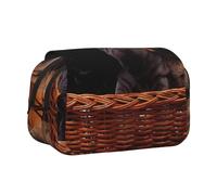 YOFIEN Shar Pei Black Puppy Small Dogs Gray Puppy Pets Pencil Pouch Portable Double Layer Stationery Organizer