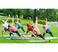 Yoga 101 Training