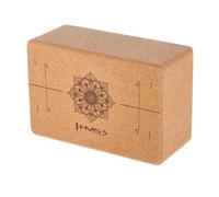 Yoga Brick HMS KJ02 22x10x15 cm