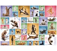 Yoga Cats