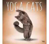 Yoga Cats 2024 Square