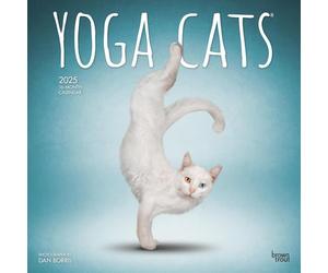 Yoga Cats Official 2025 12 X 24 Inch Monthly Square Wall Calendar Plastic-Free