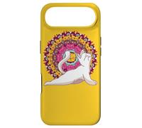 Yoga meditations chakras mandalas Cat Pilates Case for iPhone Air