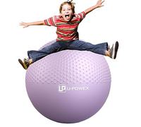 Yoga Pilates Mini Exercise Ball, Non-Slip Balance Ball, Swiss Heavy Exercise Ball with Pump for Yoga, Pilates, Fitness-Yoga Ball Chair