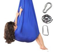Yoga Sensory Swing Set indoor, Aerial Hammock, Inversion Swing Sling Hammock(Blue)