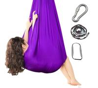 Yoga Sensory Swing Set indoor, Aerial Hammock, Inversion Swing Sling Hammock(Purple)