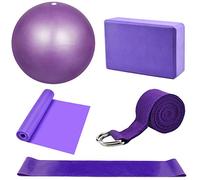 Yoga Starter Kit 5Pcs - Blocks and Strap Set, Ball, Brick, Exercise Resistance Loop Band, Stretching Strap, Pilates Belt - Equipment and Accessories for Home, Gym Training (Purple)