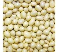 Yoghurt Coated Peanuts (1kg)
