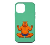 Yogi Bear Case for iPhone 12 mini