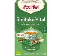 Shiitake Infusion 17 X 18.8 GR