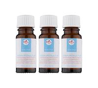 Yogurt Cultures - Simply DIY Yogurt - Ferment for Probiotic Yoghurt Making (3 x 2 g Powder)