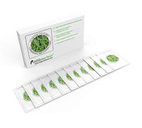 Yogurt Starter Cultures - Pack of 12 Freeze-Dried Sachets for Lactobacillus Rhamnosus and L.Gasseri Yogurt (12 sachets Pack)