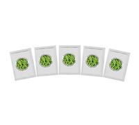 Yogurt Starter Cultures - Pack of 5 Freeze-Dried Sachets for Lactobacillus Rhamnosus and L.Gasseri Yogurt (5 sachets Pack)