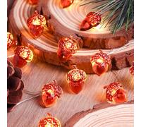 Yoitomehy Thanksgiving Decorations Fall 3D Acorn Lights 30 LEDs 10ft Battery Powered, Fall Decor for Fireplace Farmhouse Autumn Tree Ornaments Home Decor