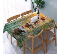 YOIUE Tablecloth,Table Cloth for Rectangle,Livestock Cow Nebraska Hereford Cattle Sunset Nature Countryside Parks,Wrinkle Resistant Decorative Table Cover for Kitchen Dining Parties Picnic 54 x 72 in
