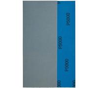 YoiYee Wet & Dry Sanding Paper Sheets, 230 X 93 mm, Grit Size: 5000, Silicon Carbide Abrasive, Waterproof Backing Paper, Pack of 10