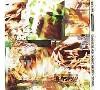 Yoke Lore - Toward a Never Ending New Beginning [VINYL]