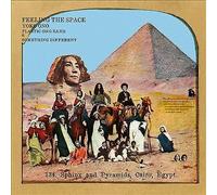 Yoko Ono & Plastic Ono Band Feeling the Space (Vinyl) (US IMPORT)