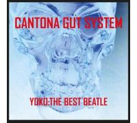 Yoko: The Best Beatle