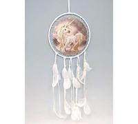 YoL Dream catcher unicorn fantasy traditional dreamcatcher girls brown feathers