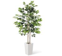 YOLEO 5.5FT Artificial Ficus Tree with White Tall Pot Indoor