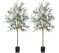 YOLEO 5.5FT Artificial Olive Tree Tall Faux Silk Olive Plant Lifelike Fake Tree for Home Office Indoor Decor（2 Pack）