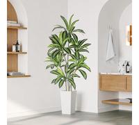 YOLEO 6FT Artificial Dracaena Tree with White Tall Planter, Lifelike Fake Silk Tree Indoor, Faux Dracaena Tall Plant for Living Room Bedroom Balcony Corner Office Decor