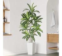 YOLEO 6FT Artificial Dracaena Tree with White Tall Planter, Lifelike Fake Silk Tree Indoor, Faux Dracaena Tall Plant for Living Room Bedroom Balcony Corner Office Decor