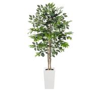 YOLEO 6FT Artificial Ficus Tree with White Tall Planter, Lifelike Fake Silk Tree Indoor, Faux Ficus Tall Plant for Living Room Bedroom Balcony Corner Office Decor