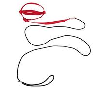 YolieraArt Bird Leash, Adjustable Parrot Flying Training Rope for Walking Attending Party, Strong Nylon Webbing & Elastic Rope, 8 Shaped Strap, Lightweight with Handle Hook (XS)