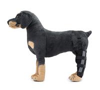YolieraArt Dog Hind Leg Brace for Surgery Recovery, Puppy Rear Leg Protector with Stable Support, Prevents Licking Chewing Wounds, Aids Post-Op Recovery (Right, XS)