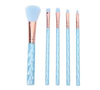 YolieraArt Makeup Brushes Set 5PCS, Professional Soft Synthetic Nylon Cosmetic Brushes with ABS Handles, Portable Blush Eye Shadow Contour Brush Kit for Beginners Blue