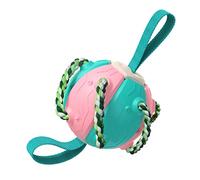 YolieraArt Pet Interactive Toy, Outdoor Training Flying disc and Soccer for Dogs, Portable Multifunctional Dog Toy, Plastic Material, Unique Shape with Vibrant Colors, (Pink and Green)