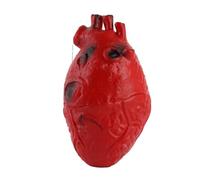 YolieraArt Yuexinghui Fake Human Heart, Latex Life Size Heart Prop with Realistic Bloody Detail, 13x7cm Horror Halloween Decoration and Prank Toy