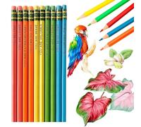 Yolkify 10Pcs Coloured Pencils, Pencils With Rubbers on The End, Colouring Pencils for Adults Kids Color Mixing Blending Doodling Drawing Painting Sketching Writing Shading Layering & Other Artworrk