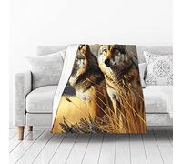 yomeeaaaa 60"x80" Wild Prairie Wolves Printed Blanket - Cozy and Soft Flannel Fleece Throw for Home Decor, Camping, and More - Perfect for Wolf Lovers and Outdoor Enthusiasts