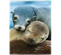 yomeeaaaa Sea Lions Blanket Marine Cute Animals Fleece Blanket Soft Fuzzy Plush Throw Blankets for Couch Bed 60"x80"