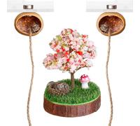 YOMENO 3 Pcs Jumping Spider Enclosure Accessories Magnetic Wooden Platform with 2 Natural Hideouts Fairy Garden Decor Climbing Hideout Set for Jumping Spider Habitat Terrarium