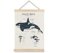 Yomisex Killer Whale Wall Art Poster, Whale Shark Gifts for Ocean Lovers, Beach House Room Decor, Coastal Nautical Sea Animal Shark Wall Art Framed for Home Bedroom Living Room Decor, 12x16 Inch
