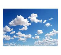 YongFoto 10x8ft Blue Sky White Clouds Backdrop Sunny Day Heaven View Nature Photography Background for Adults Kids Boys Pilot Theme Party Artistic Portrait Video Shoot Vinyl Photo Studio Props