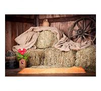 YongFoto 10x8ft Photography Backdrop Old Barn with Straw Bales Farm Countryside Photo Background Backdrops for Photography Photo Shoots Party Adults Wedding Personal Portrait Photo Studio Props Vinyl