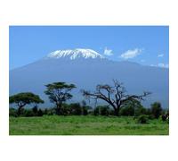 YongFoto 12x8ft The African Grassland Backdrop Prairie Trees Mount Kilimanjaro Natural Landscape Photography Backdrops for African Theme Vacation Portrait Photo Studio Shoot Props