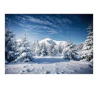 YongFoto 12x8ft Winter Snow Scenery Photography Backdrop Christmas Trees Snowy Moutain Blue Sky Nature Landscape Background Xmas Family Party Decor Children Portraits Photo Studio Props Vinyl