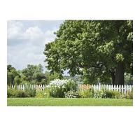 YongFoto 15x10ft Backdrops Garden Scene Spring Meadow Flowers Fence Old Trees Countryside Background Photo Studio Nature Garden Decor Picnic Kids Adults Outdoor Artistic Photography Paper Backdrop