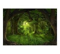 YongFoto 15x10ft Photography Backdrop Deep Tropical Jungles of Southeast Asia Nature Forest Landscape Backdrops Photo Shoots Lovers Party Adult Kids Baby Portrait Photo Background Studio Props
