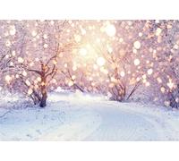 YongFoto 3x2m Backdrop Photography Winter Landscape Color Bokeh Snowflakes Christmas Backdrops for Photography Photo Shoots Photo Background Studio Props