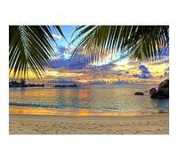 YongFoto 3x2m Photography Backdrop Seaside Sand Beach Coconut Palm Rock Stones Sunset Nature Summer Photo Background Backdrops Photography Photo shoot Party Kids Personal Portrait Photo Studio Props