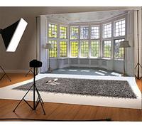 YongFoto 3x2m Vinyl Backdrop Indoor European French Building Sash Sunshine Nature Autumn Background Decorations Studio Photo Portrait Child Video Party Wedding Photobooth Photography Accesorios